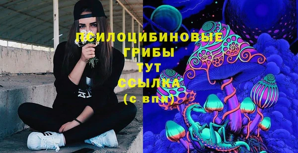сатива Лихославль