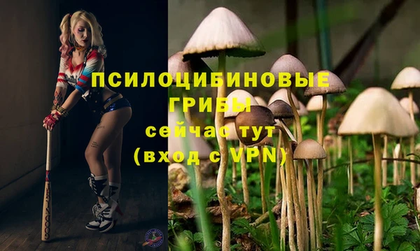 гидропоника Абаза