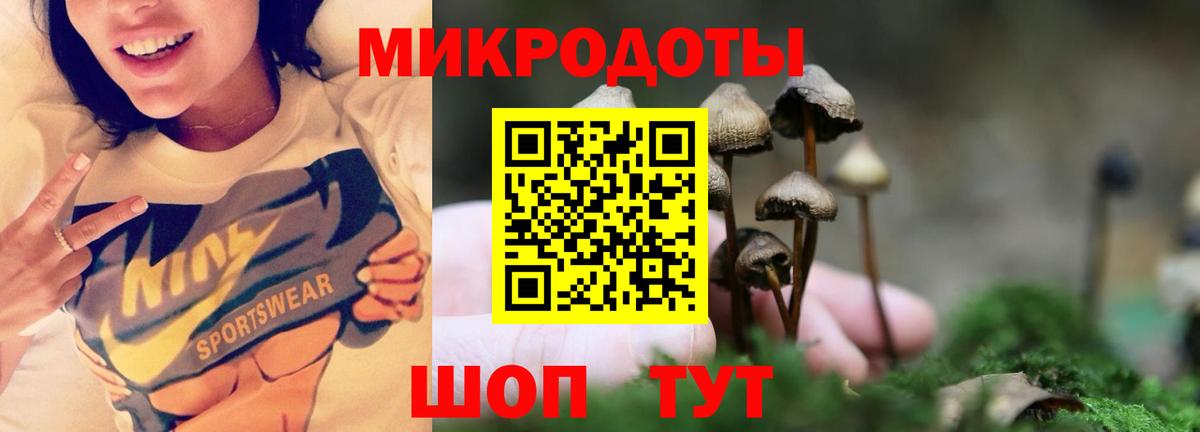 Владикавказ  Галлюциногенные грибы ЛСД  Псилоцибиновые грибы ЛСД  Вход с VPN 